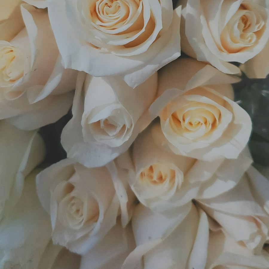 Garden Ceremony